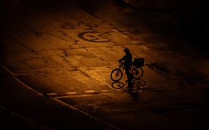 Food delivery courier