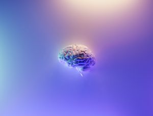 Illuminated brain